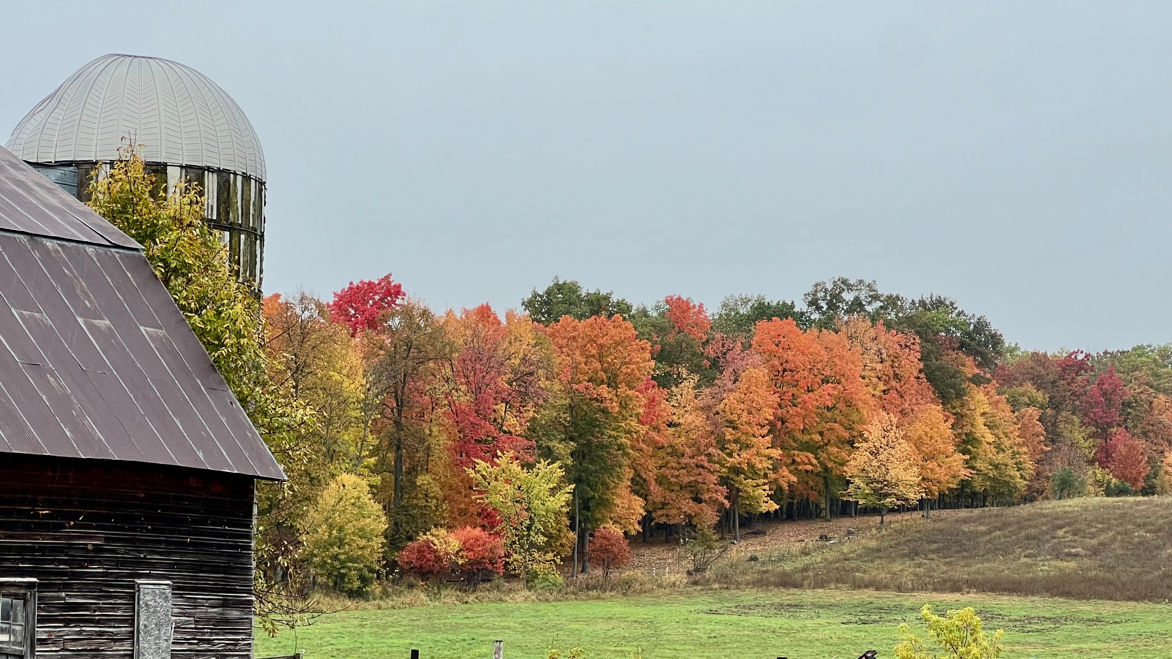 PSA 1+5 does NOT equal 5+1 by Kristine Macauley