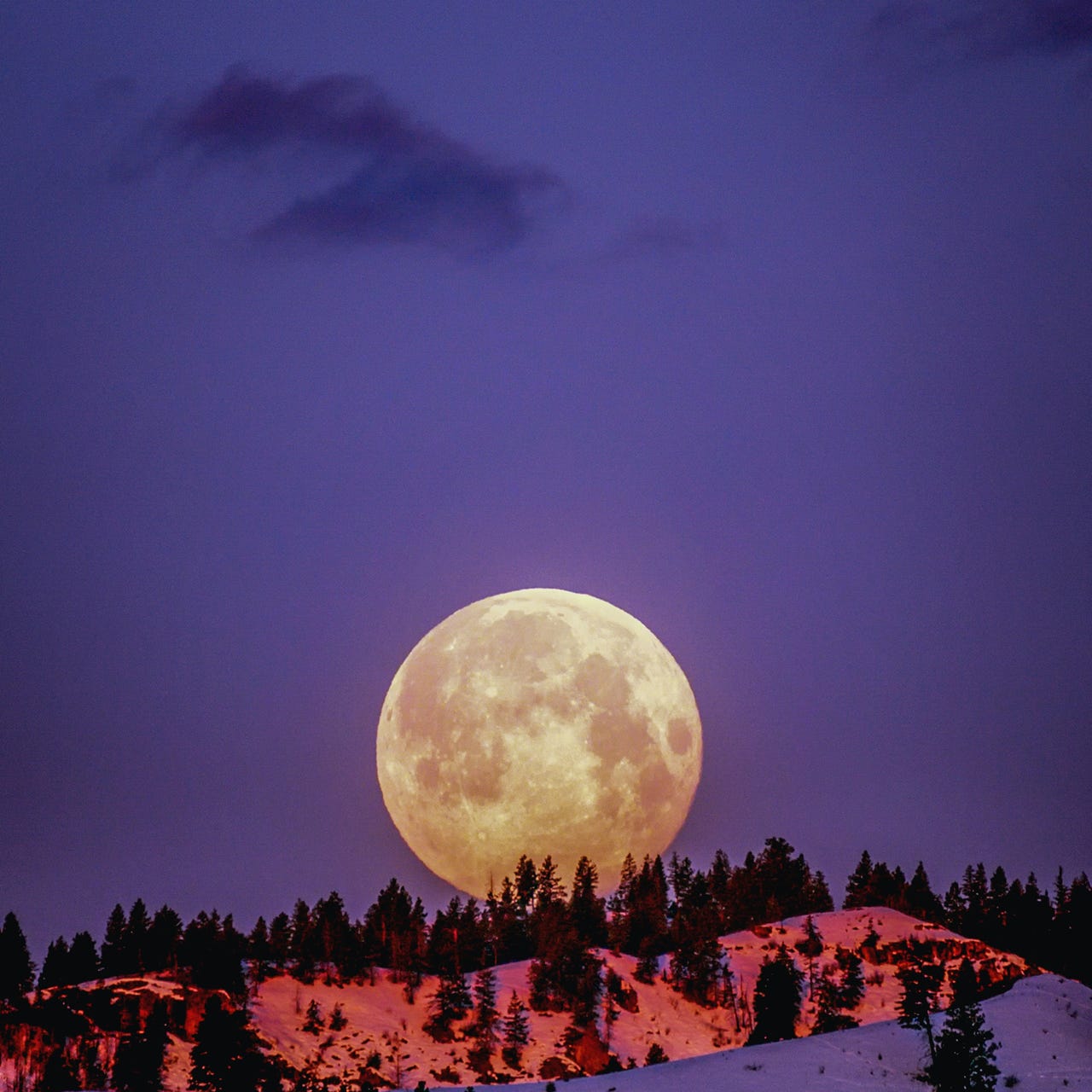 Writing Under the The Full Moon logo