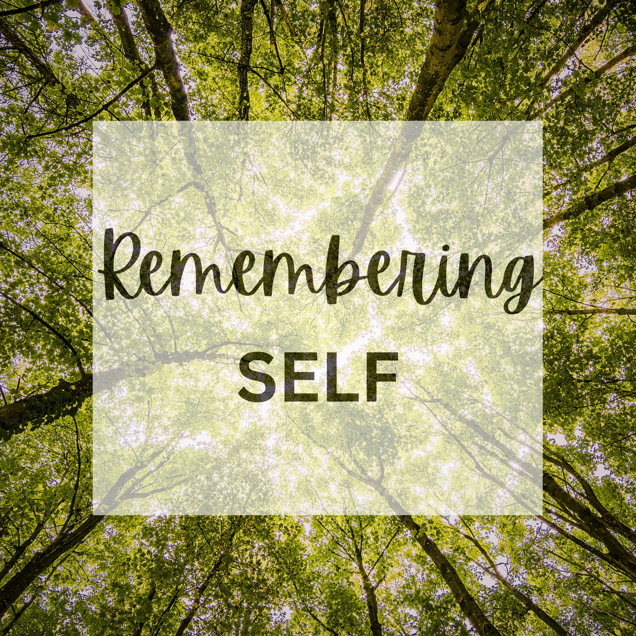 Remembering SELF