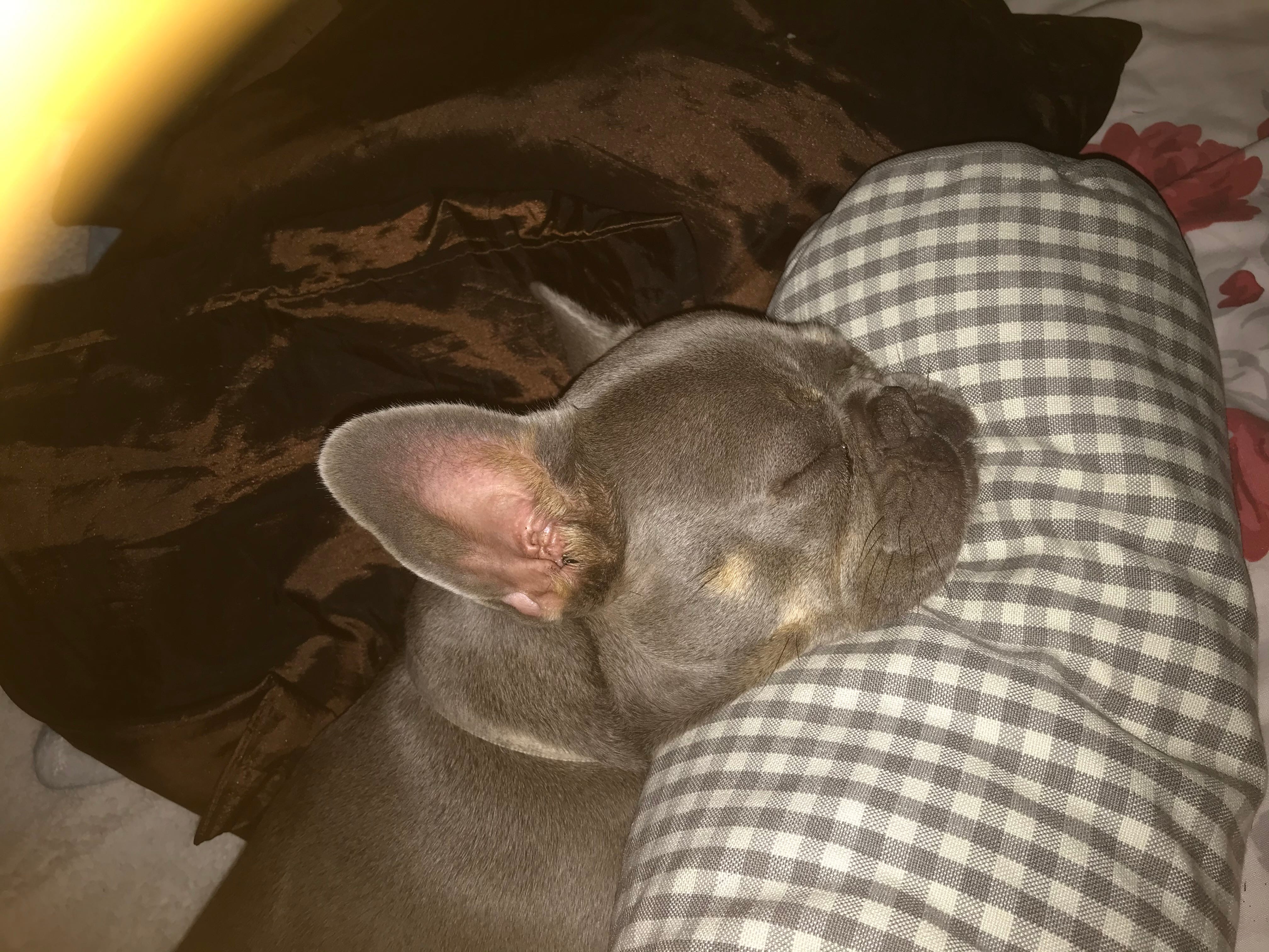 What to do differently when you are tired by Ruth