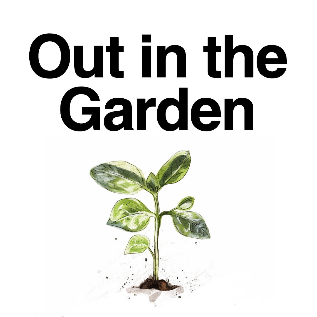 Out in the Garden  logo