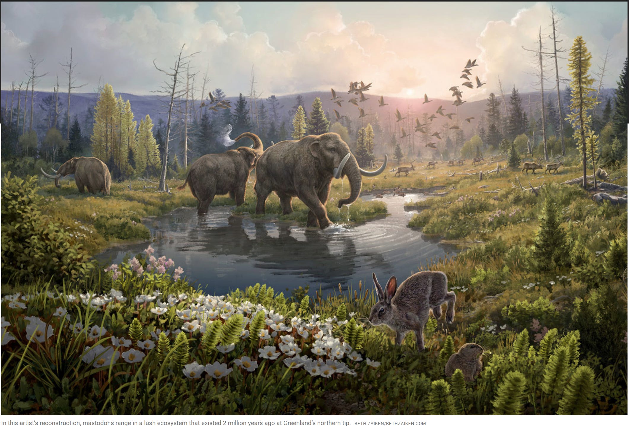 Pleistocene epoch: The last ice age