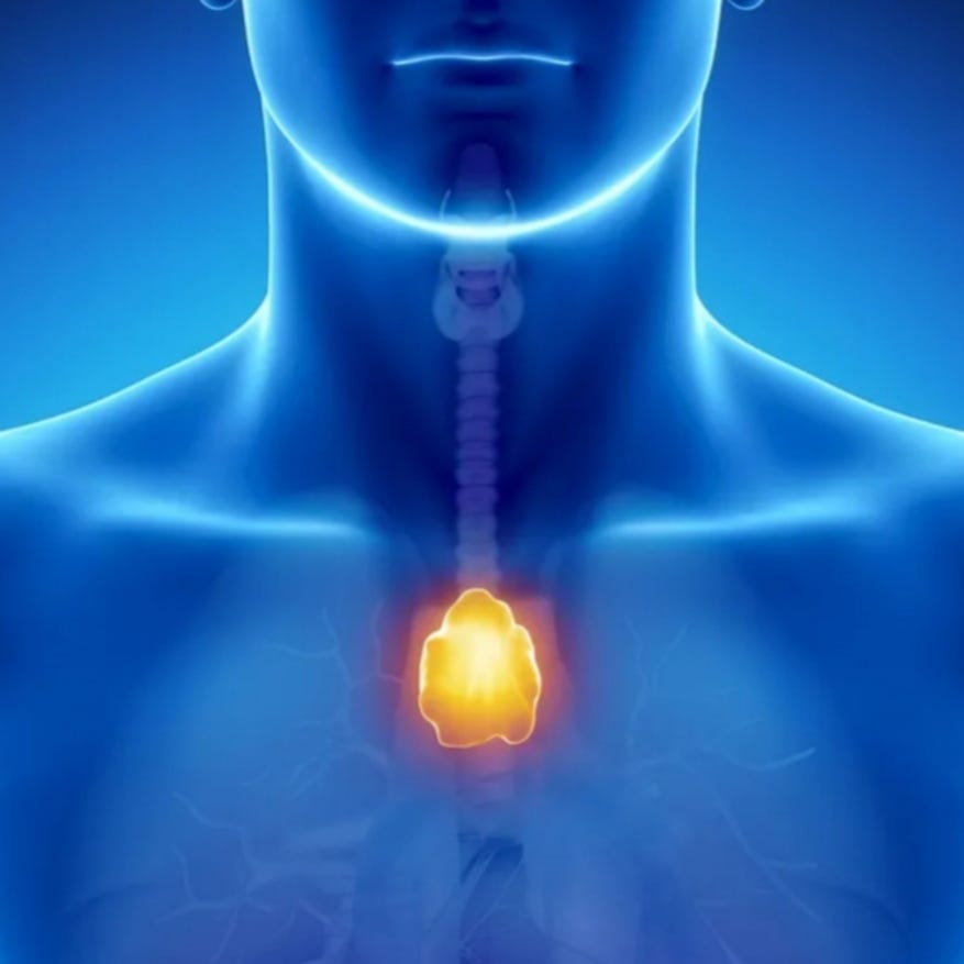 Thymus Cures Newsletter