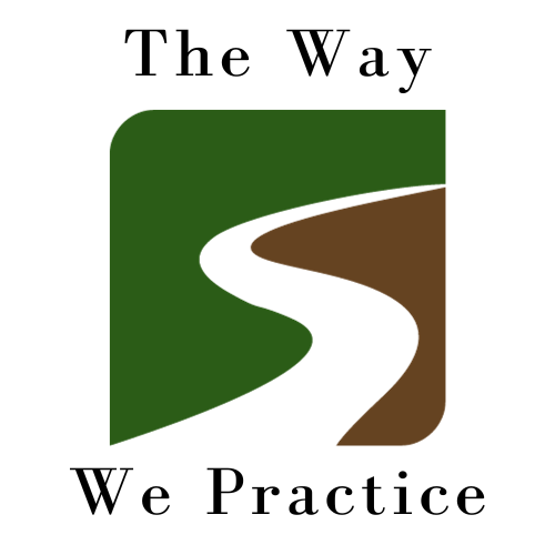 Artwork for The Way We Practice