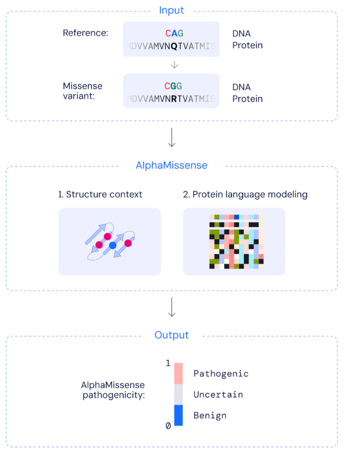 Accurate proteome-wide missense variant effect prediction with  AlphaMissense