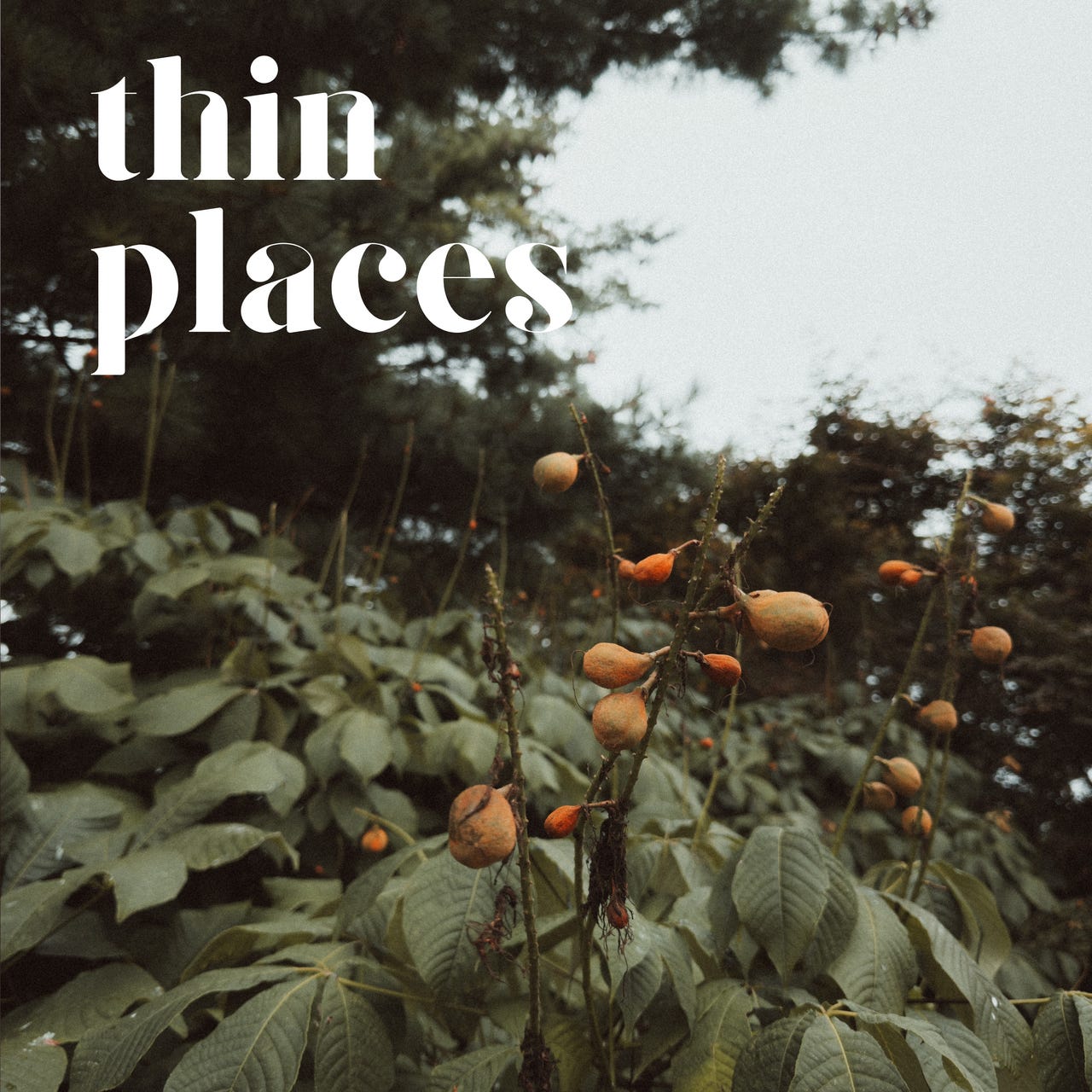 Artwork for thin | places