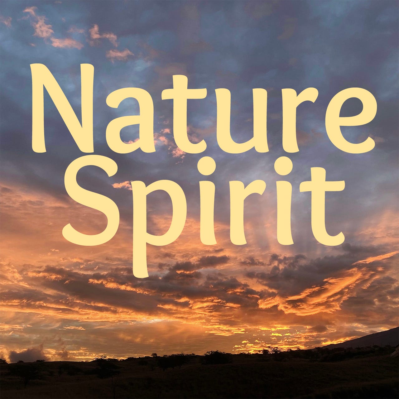 Nature :: Spirit — Kinship in a living world logo