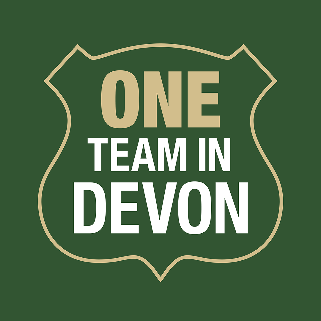 One Team in Devon logo