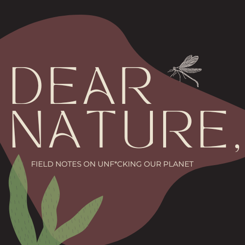 Artwork for Dear Nature by Alison Elise 