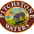 Artwork for Pitchstonewaters Waters