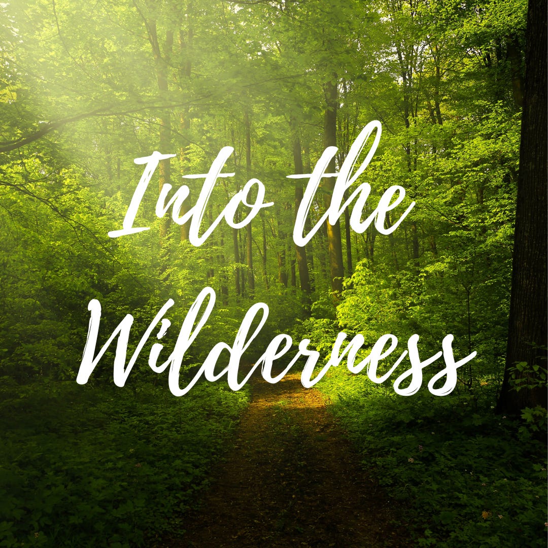 Into the Wilderness