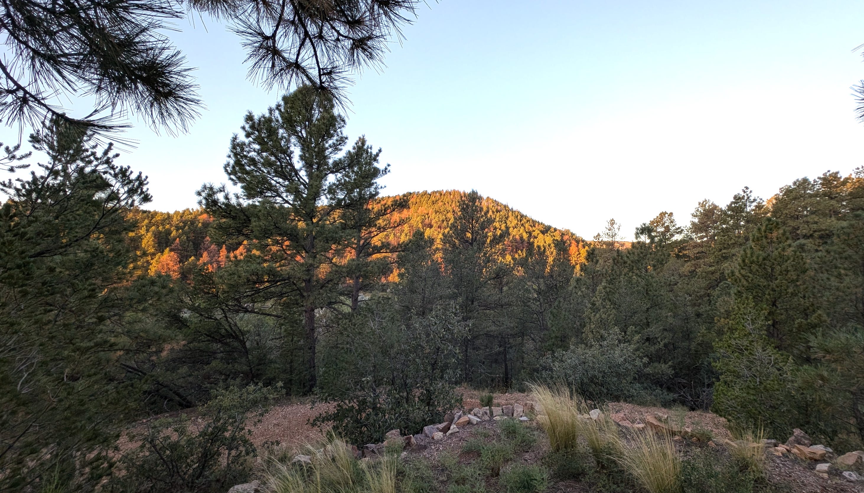 Viva Las Vegas by Maurice Compte Maurice’s Substack