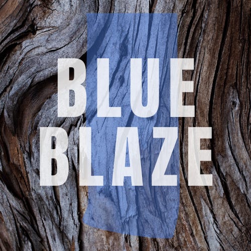 Blue Blaze logo