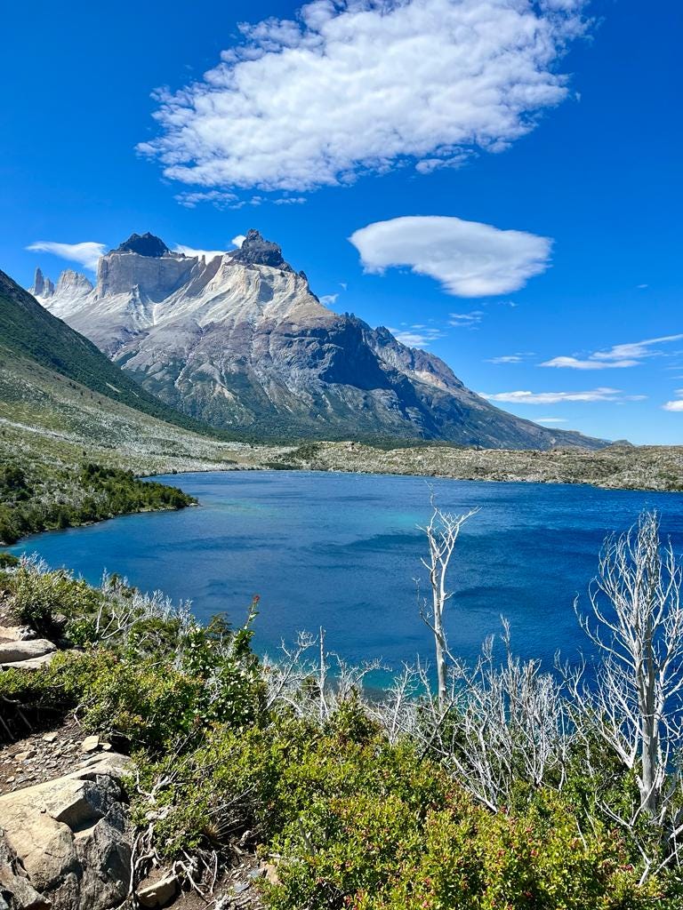 A Patagônia se tornou uma fonte de inspiração, suas belas paisagens nos  impulsionam a continuar pescando o melhor salmão do mundo 😍🫶