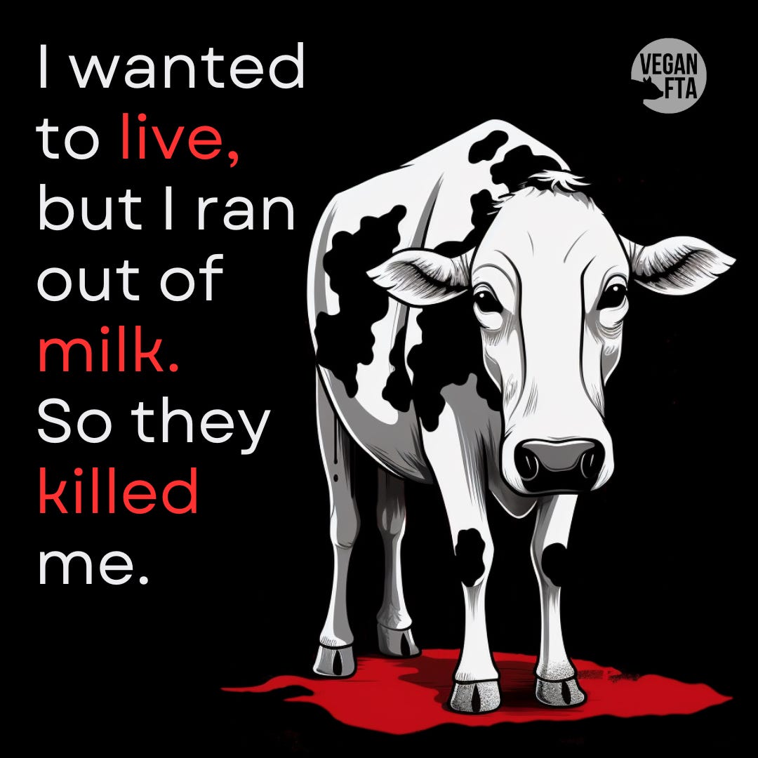 Factory farm animal cruelty