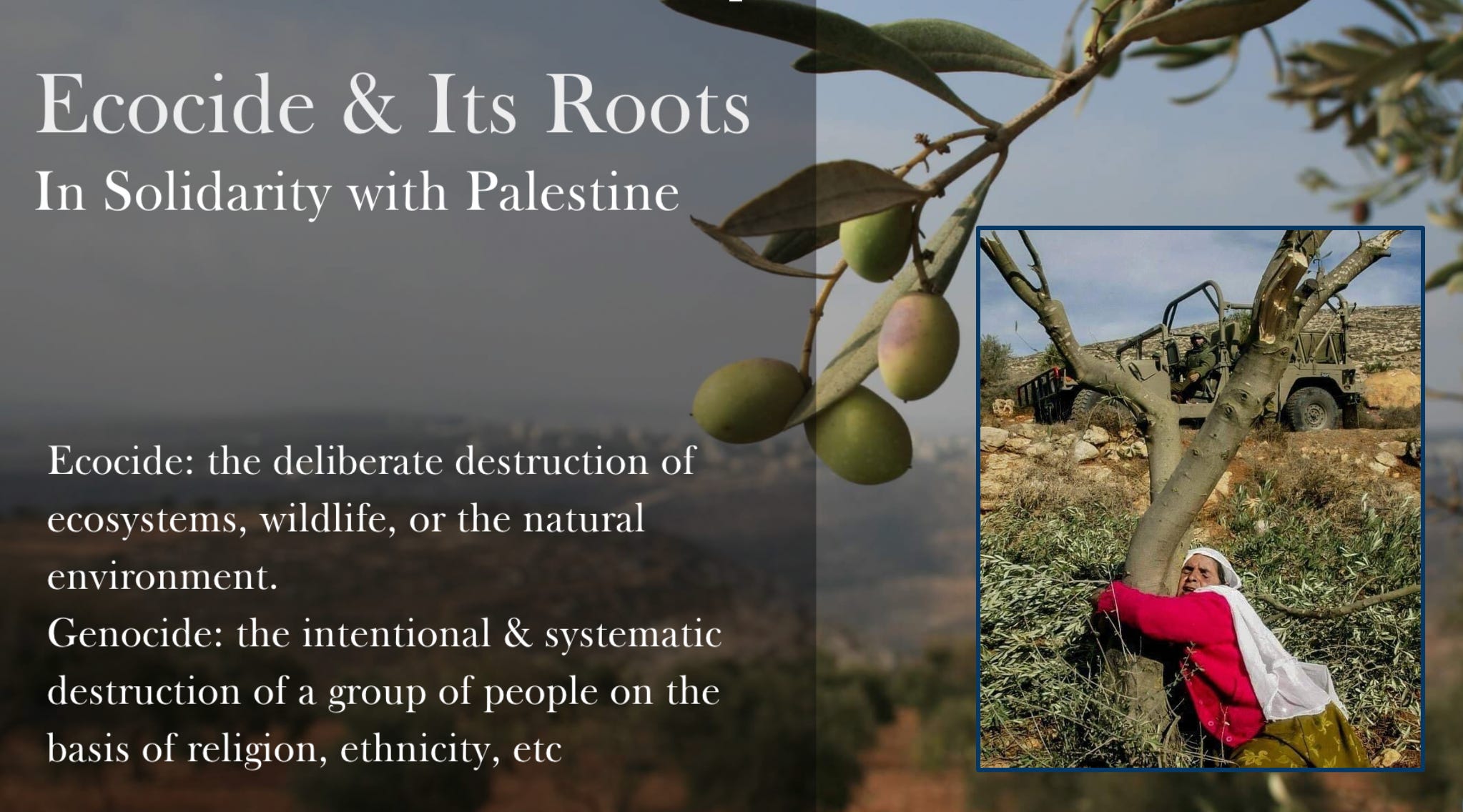 Ecocide in Palestine (a resource guide)