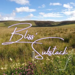 Bliss’ Substack