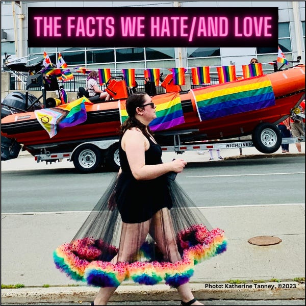 Artwork for The Facts We Hate/And Love