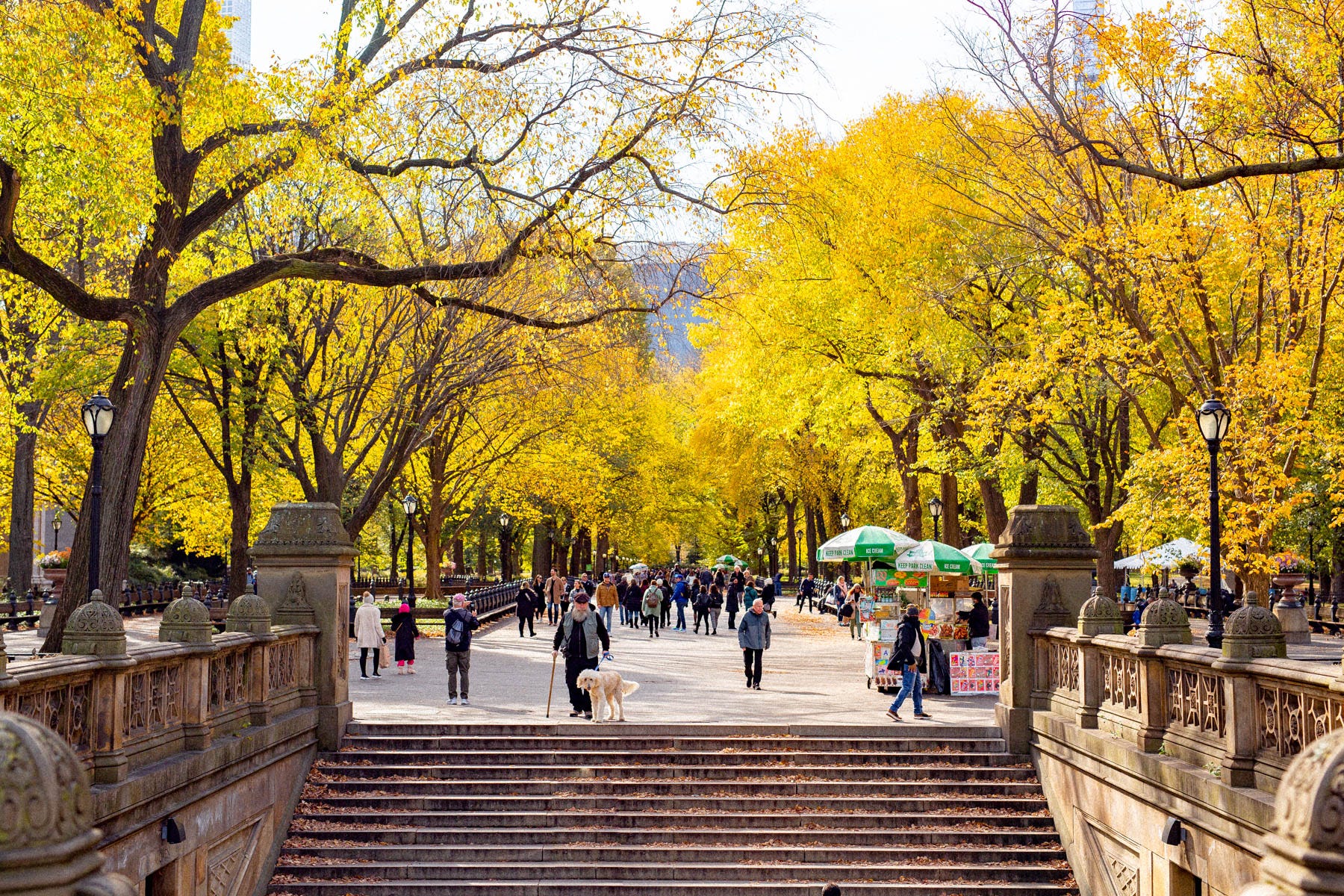 3 Reasons Why Everyone Should Experience Fall in New York City