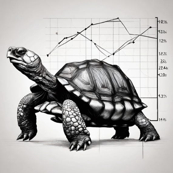 The Compounding Tortoise logo