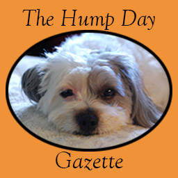 Artwork for The Hump Day Gazette