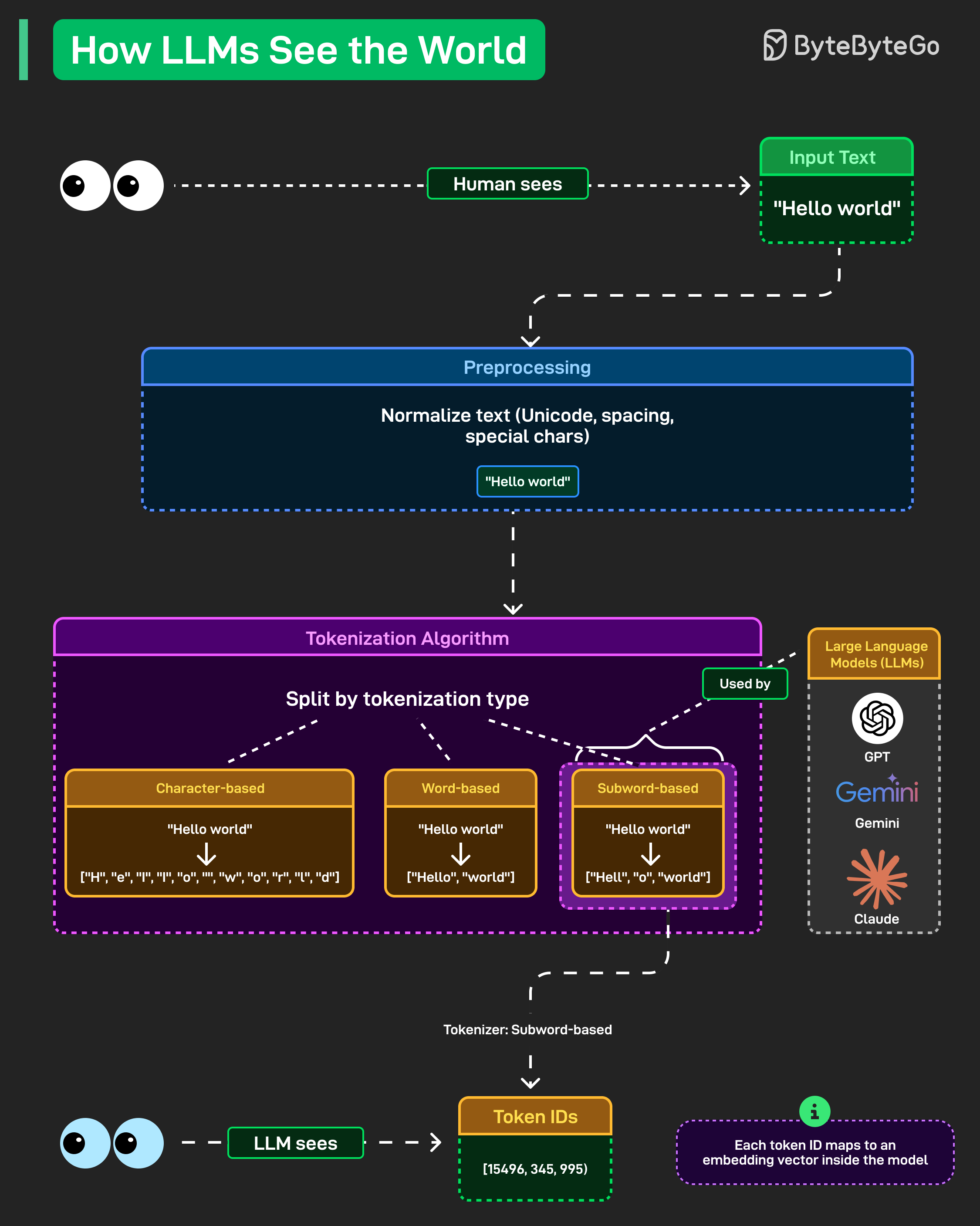 How LLMs See the World