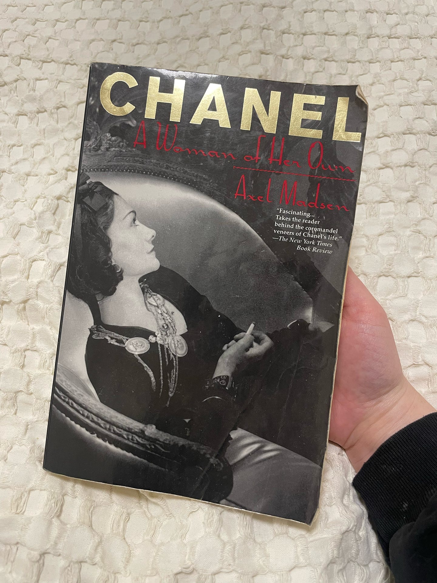 How I Stumbled into the World of Fashion A Love Story