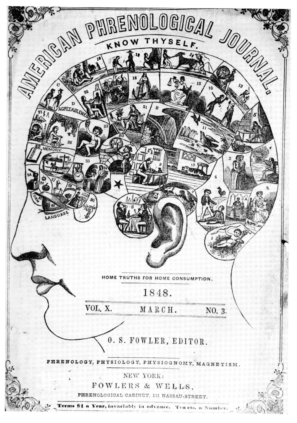 Materials of the Mind: Phrenology, Race, and the Global History of