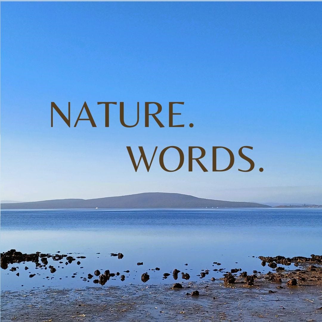 Nature. Words. Learning. Life.’s Substack logo