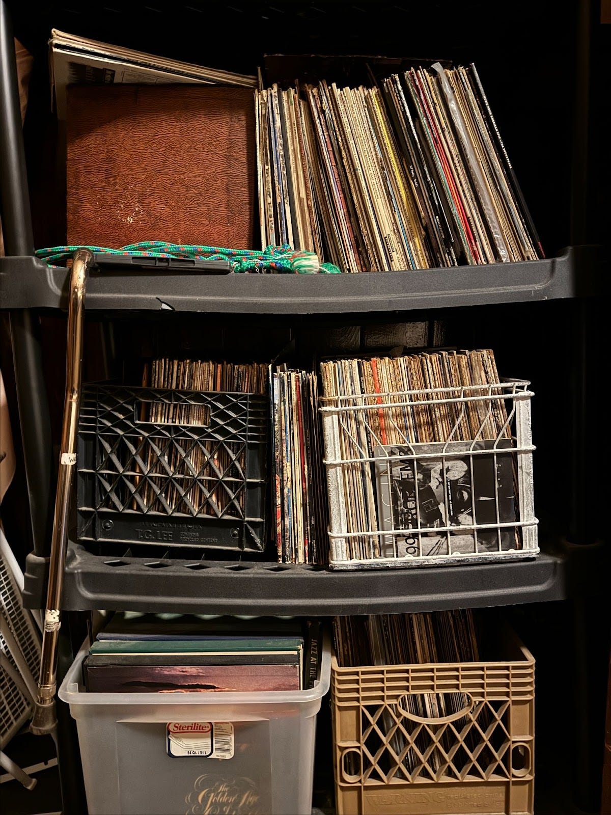 just like music by Molly McDermott Walsh