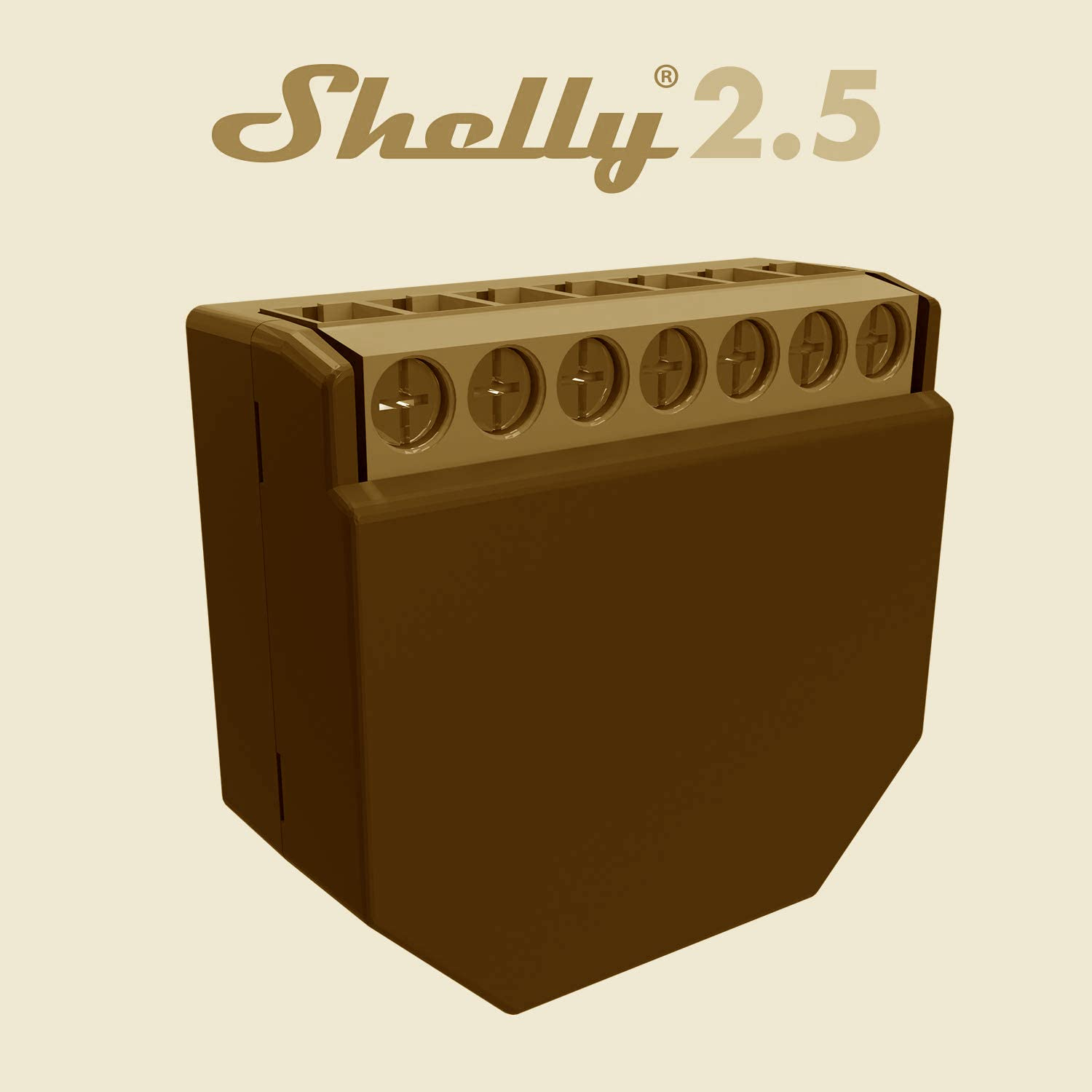 Shelly 2.5  DIY My Smart Home