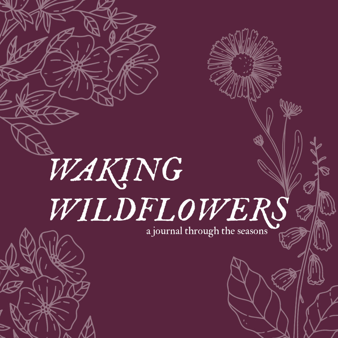 Field Notes for Wildflowers logo