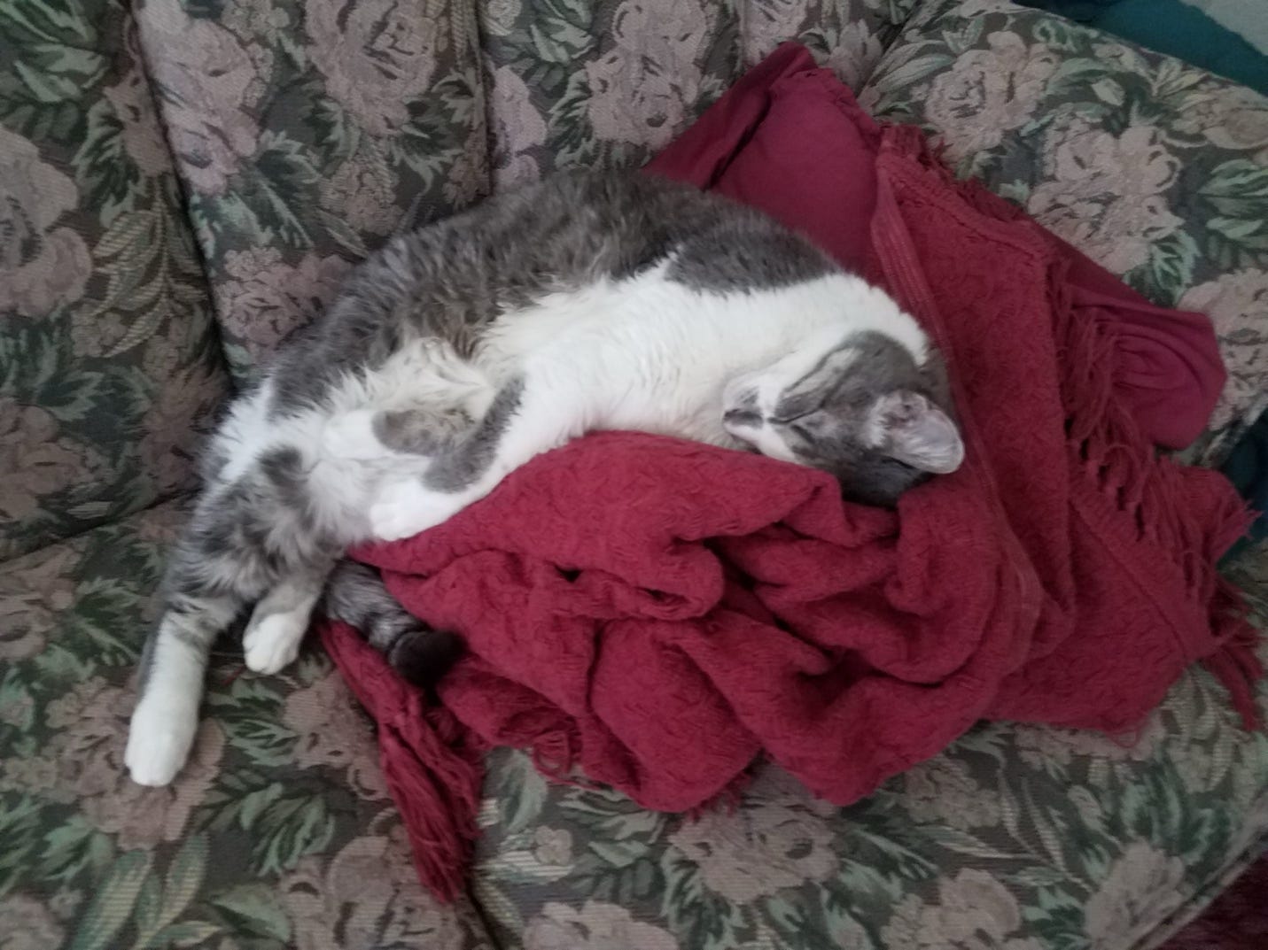 THE REAL MEANING OF CAUTION by Karen Robertson