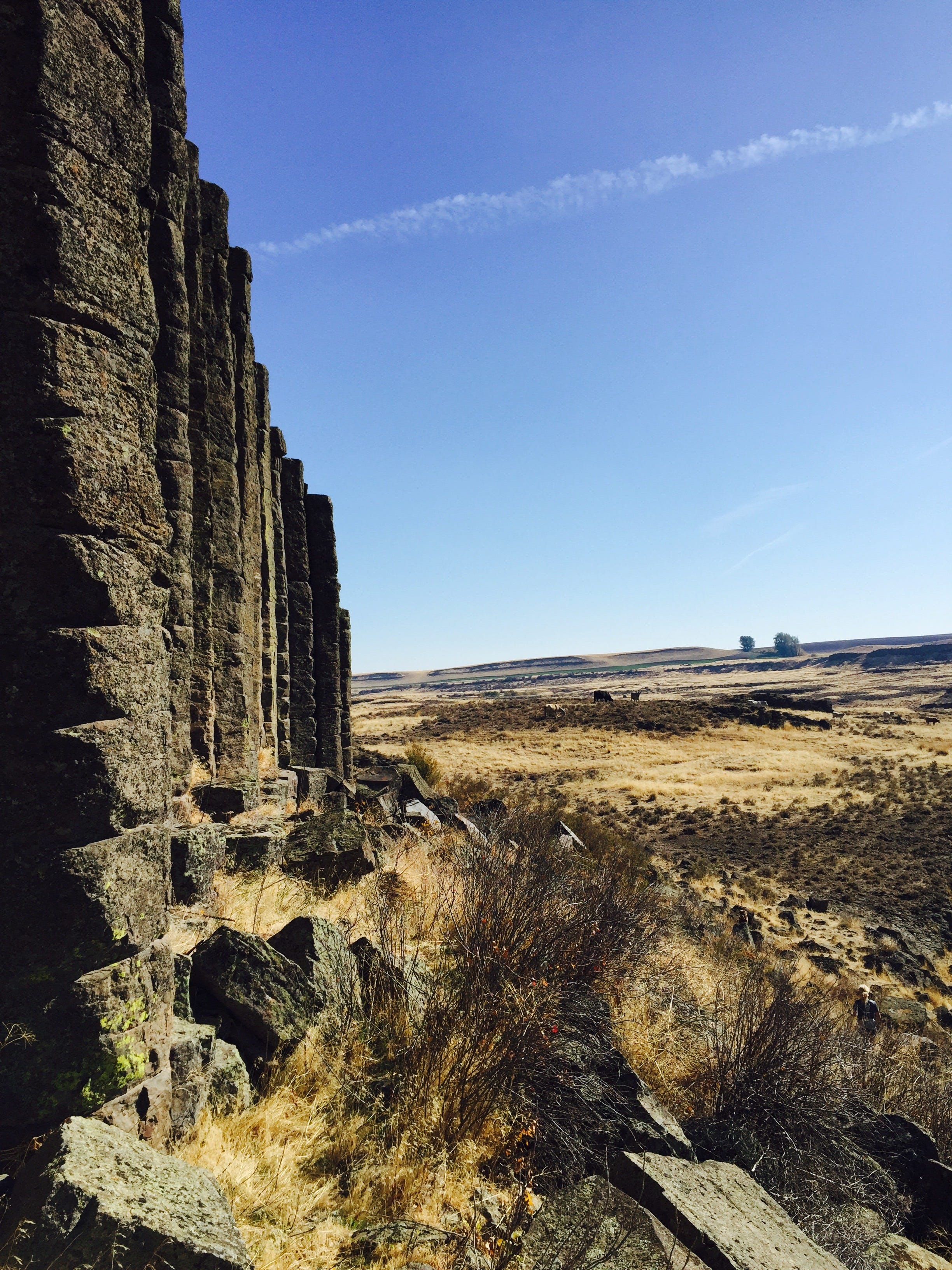 Hope and Joy by Annie Allen Small Change