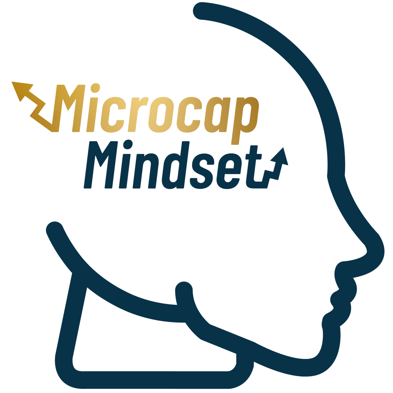 MicroCap Mindset logo