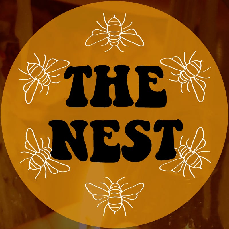 Artwork for Saturn + Honey: The Nest