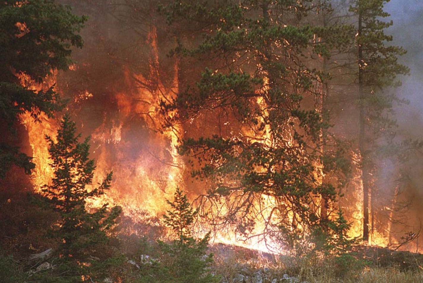 Fighting Wildfires, NIOSH