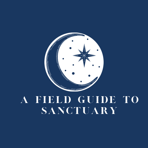 Artwork for A Field Guide to Sanctuary