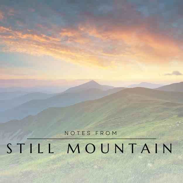 Notes from Still Mountain