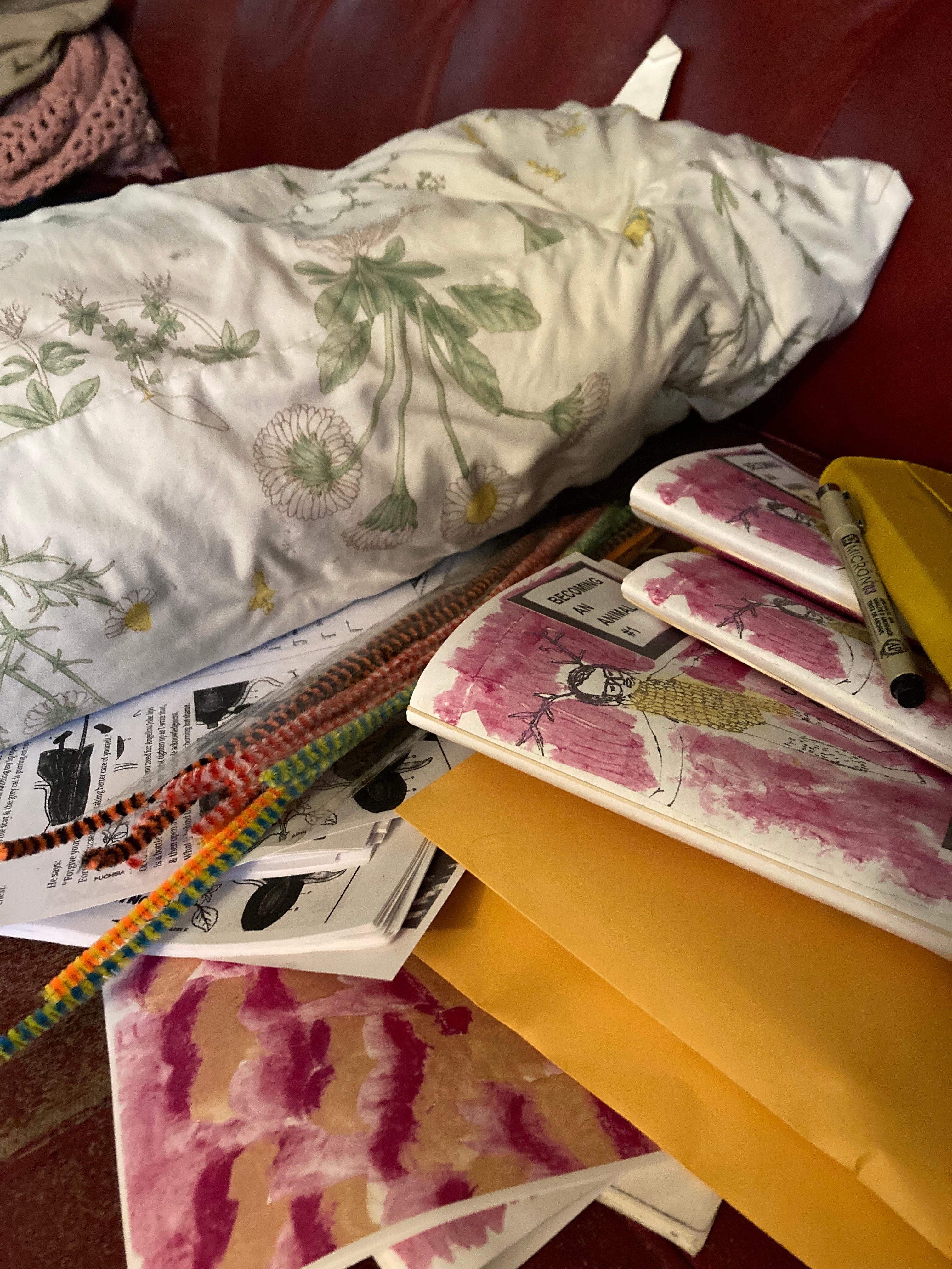 Caleb & His Cats by J. Rae Warren An Animal