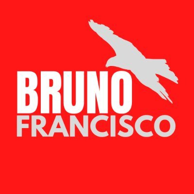 Bruno Francisco | Benfica em Análise logo