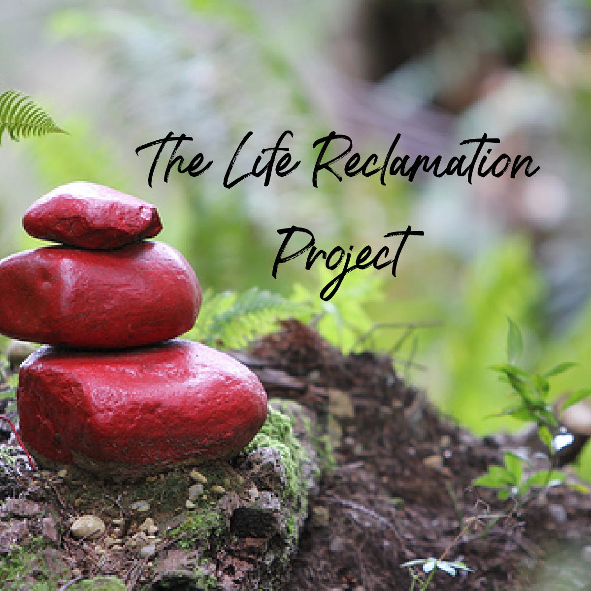 The Life Reclamation Project logo