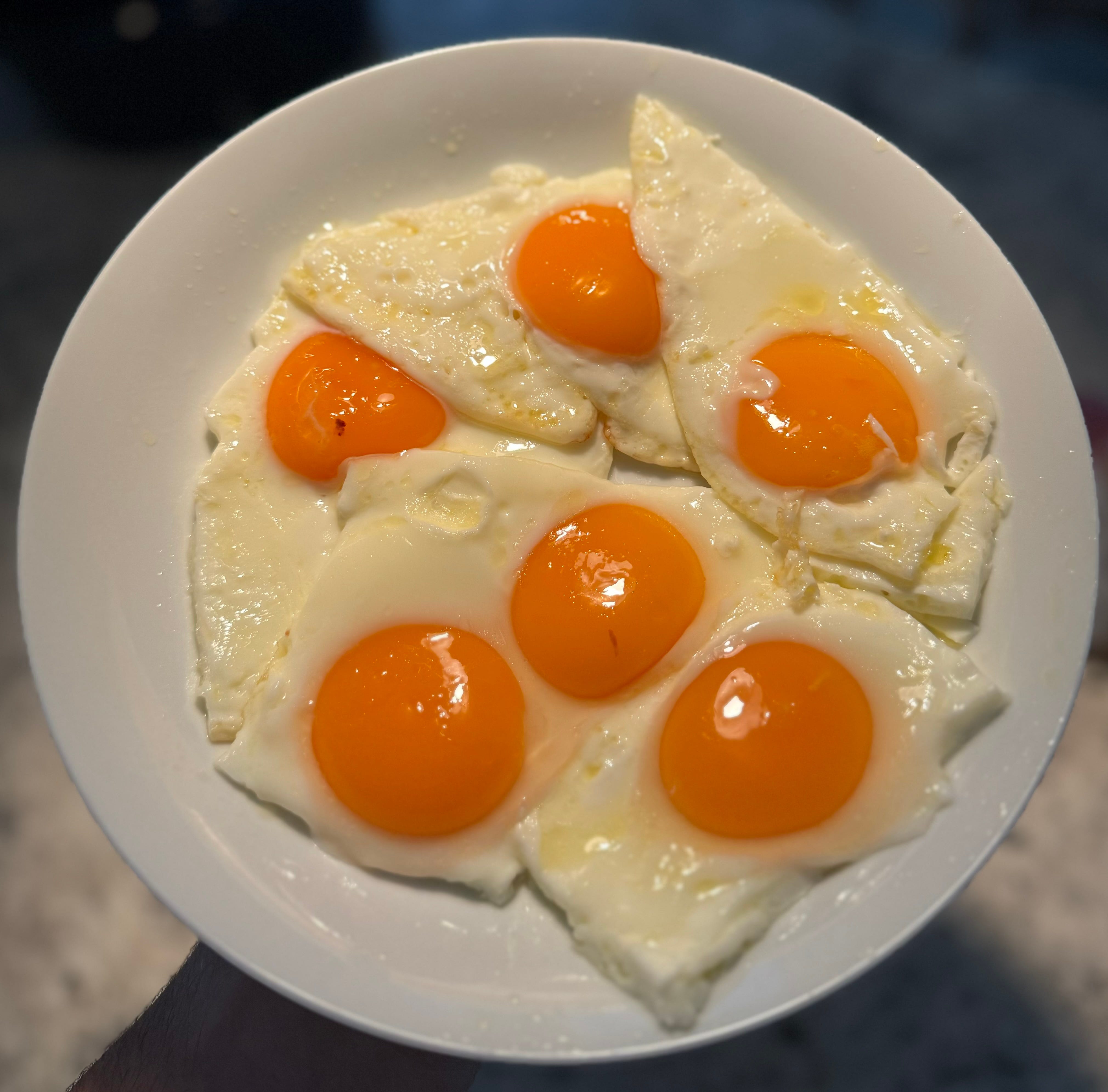 The Anti Diet, Diet Guide by Noah D.