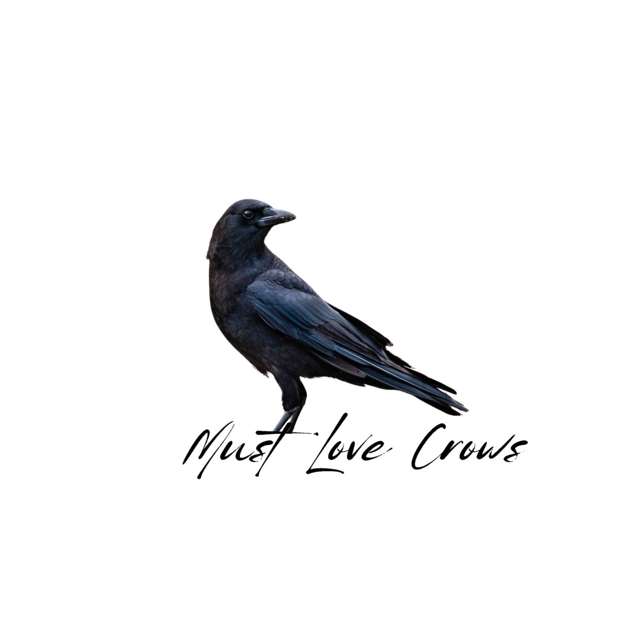 Must Love Crows logo