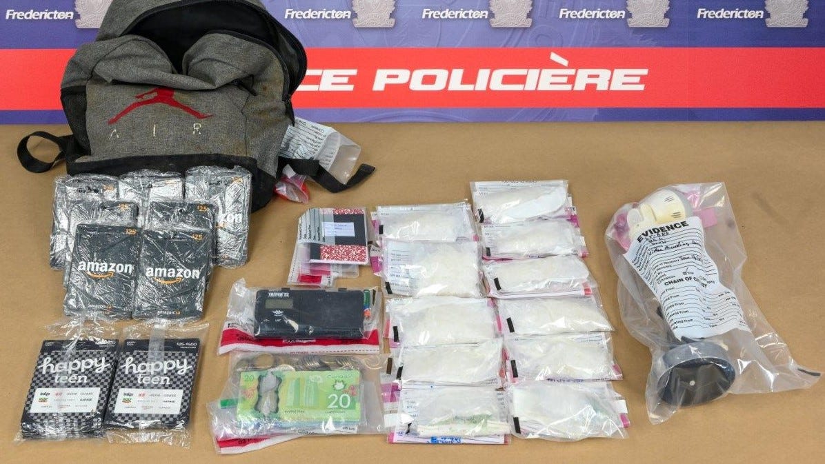 Two arrested in meth, fentanyl bust - cops