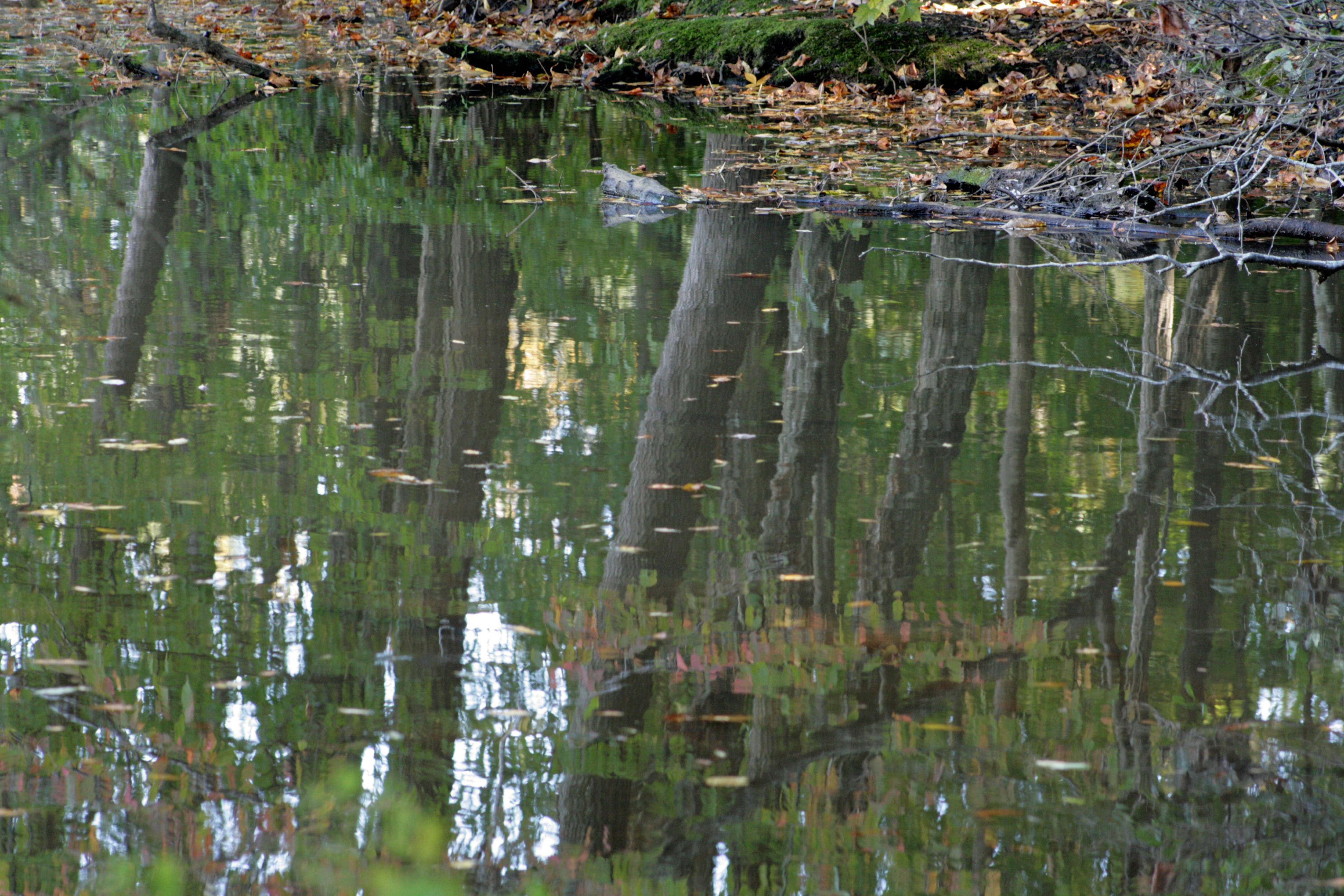 Acceptance Is the Key to Moving Forward