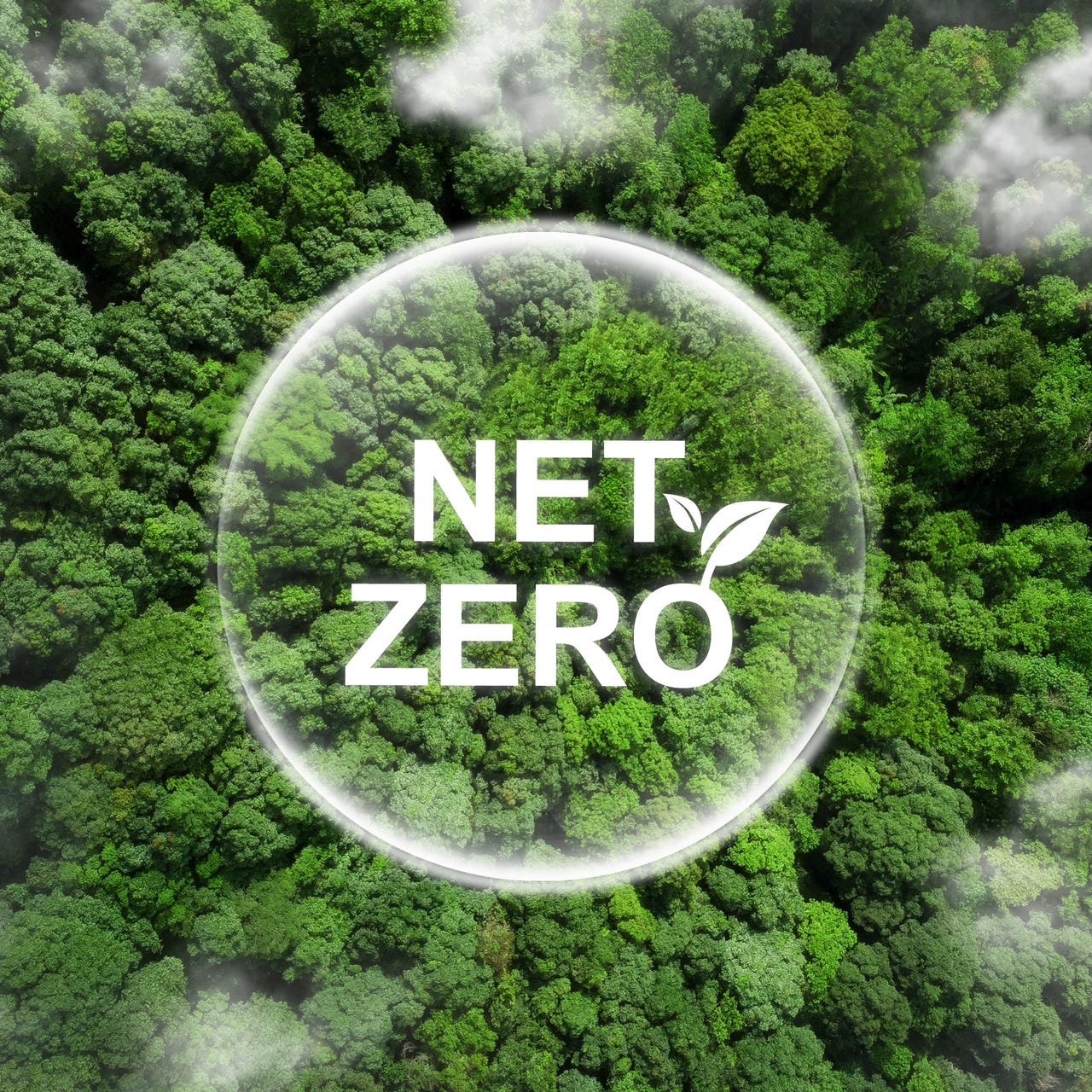 Net Zero by 2050