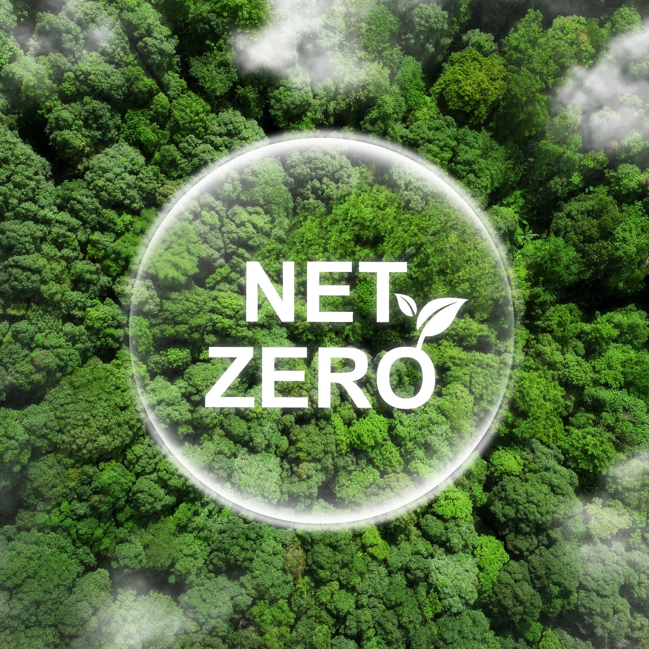 Net Zero by 2050 logo