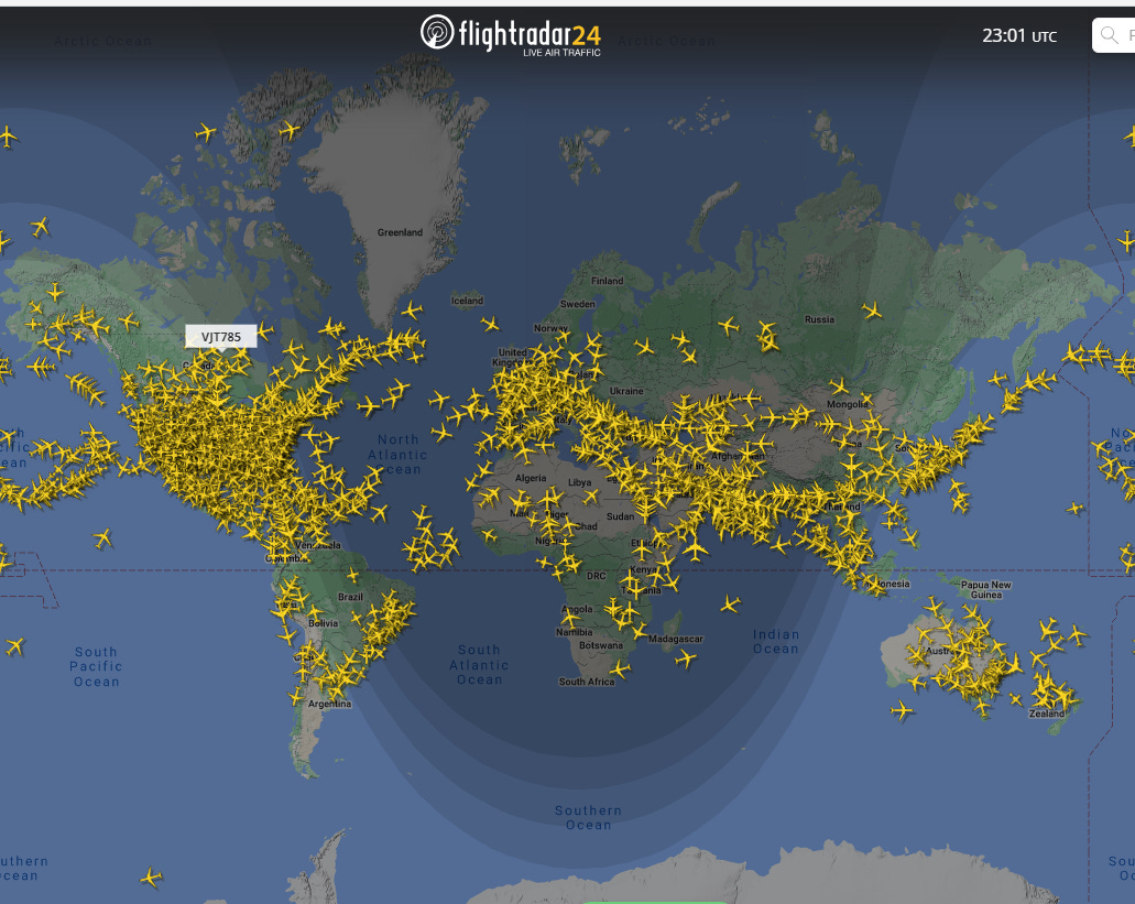 In 2020, 24 people officially died of "covid" in New Zealand. Denis