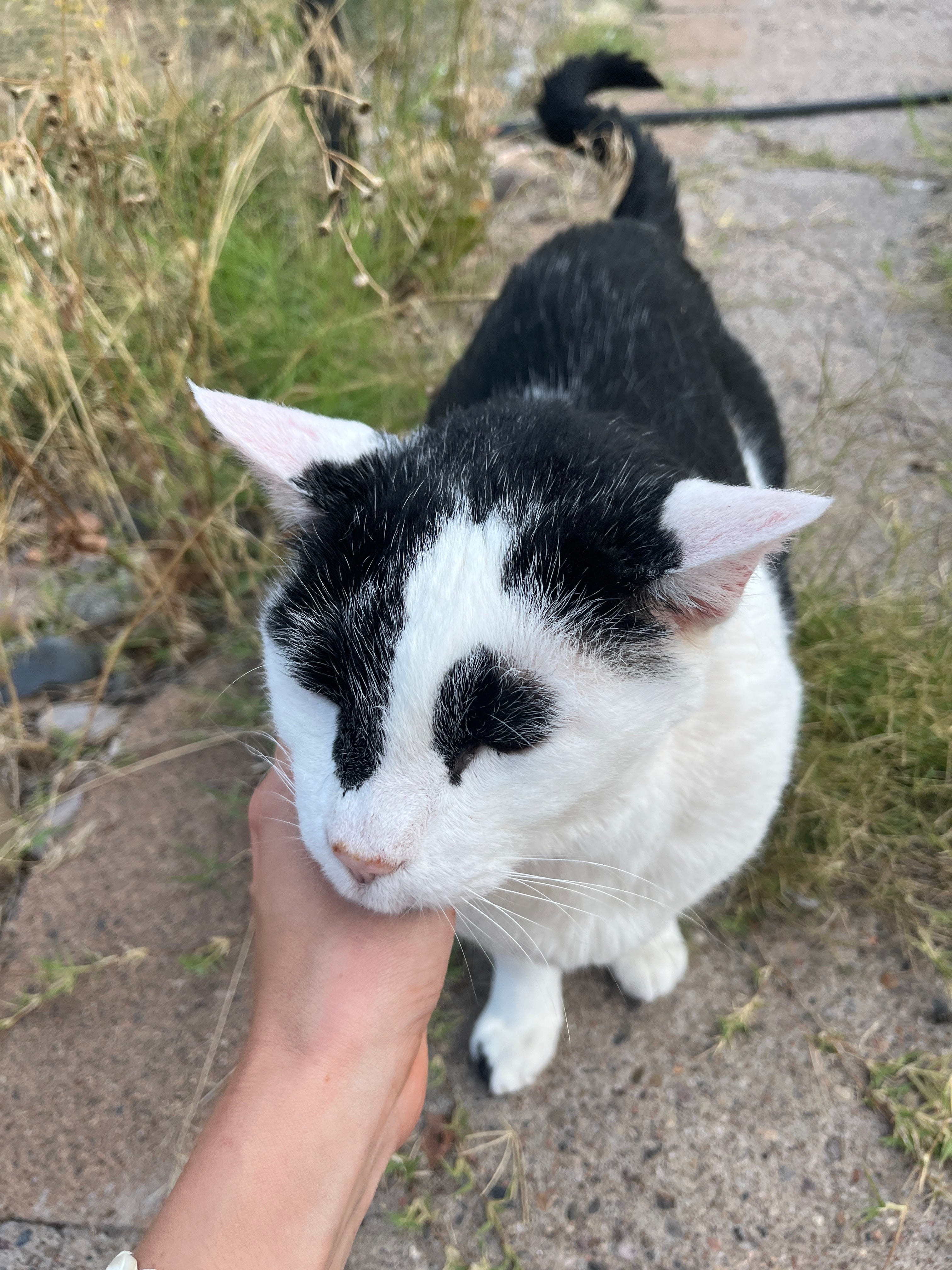 Holding my Breath by Cleo D HarrisCummins all my figs